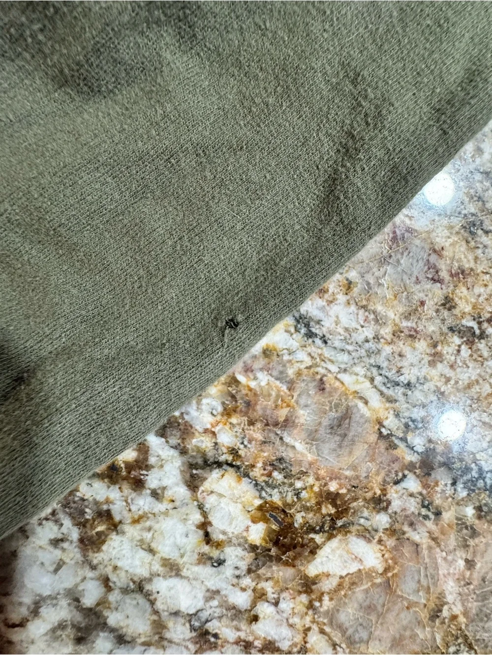 Old Navy Olive Green Kids Drawstring Joggers